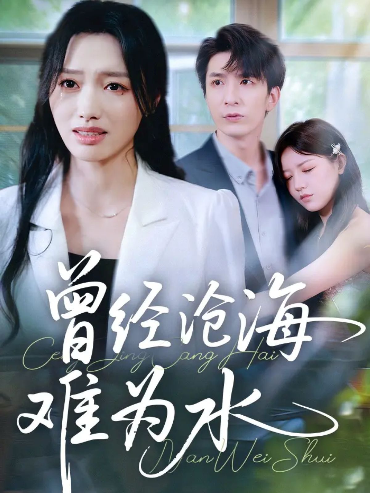 新曾经沧海难为水